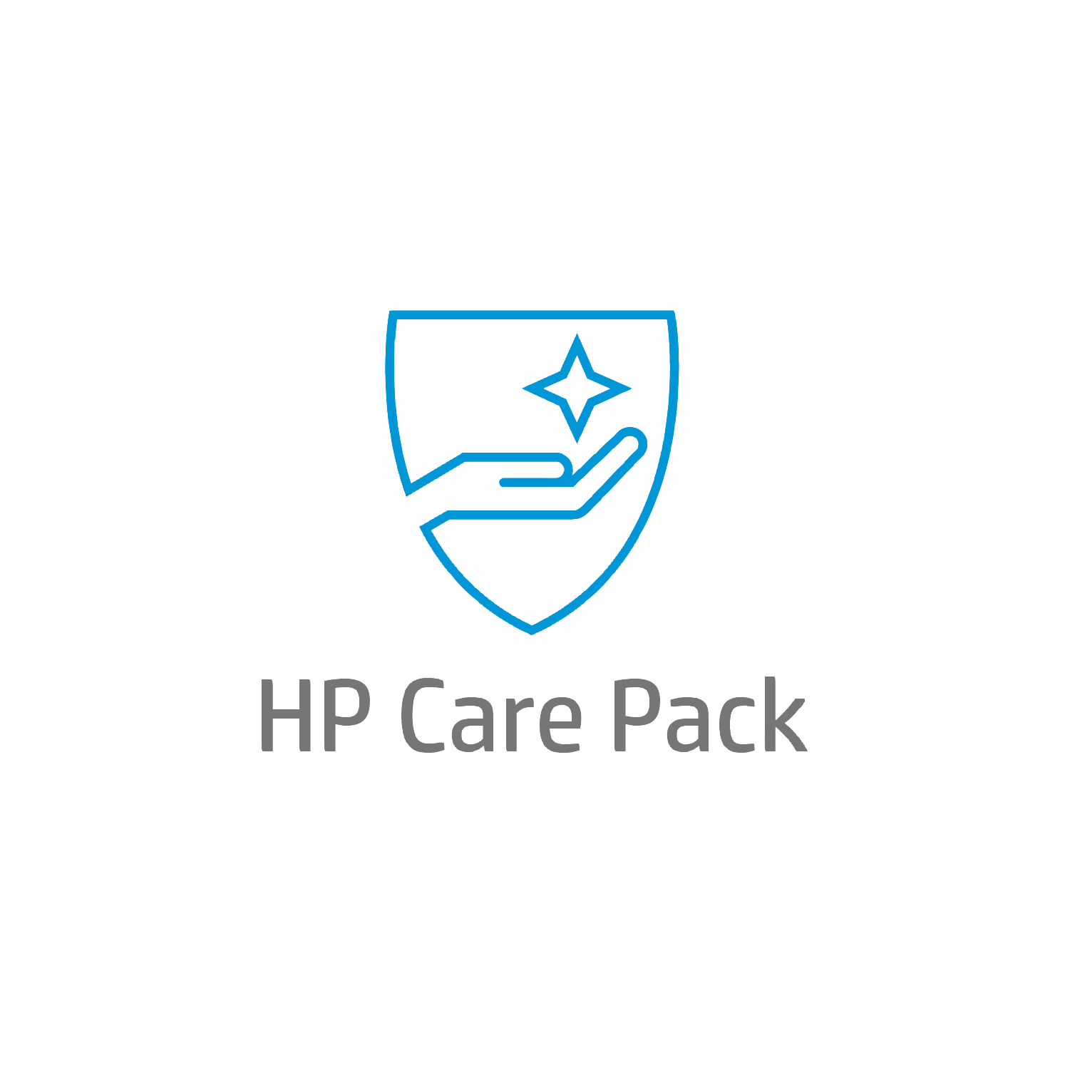 Bild von HP Care Pack Electronic HP Care Pack U45SZE - Systeme Service & Support