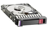 Bild von HPE 300GB SAS - 2.5 Zoll - 300 GB - 10000 RPM